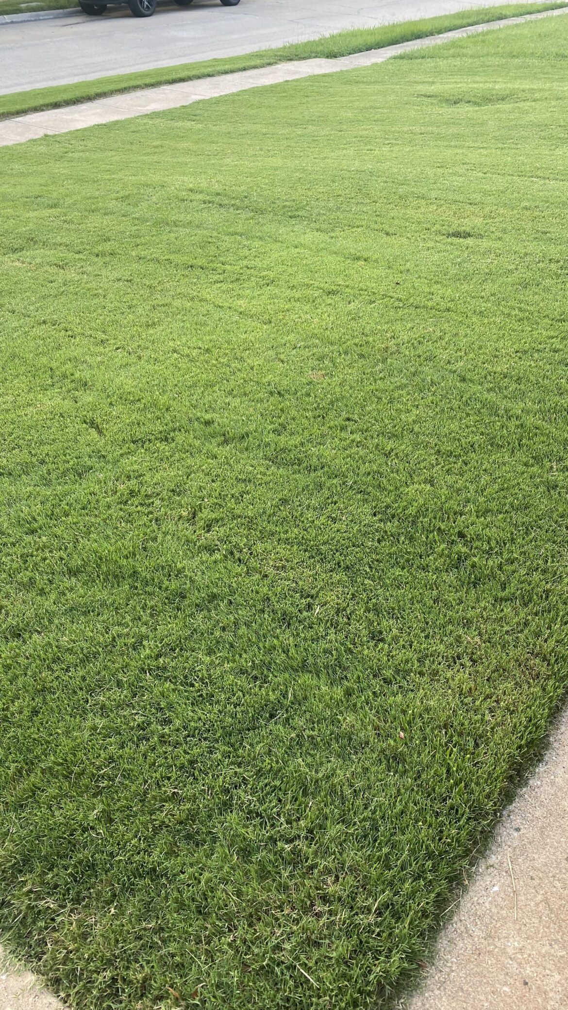 Mowed my lawn for the first time by myself. Pls be brutally honest and rate from 1-10