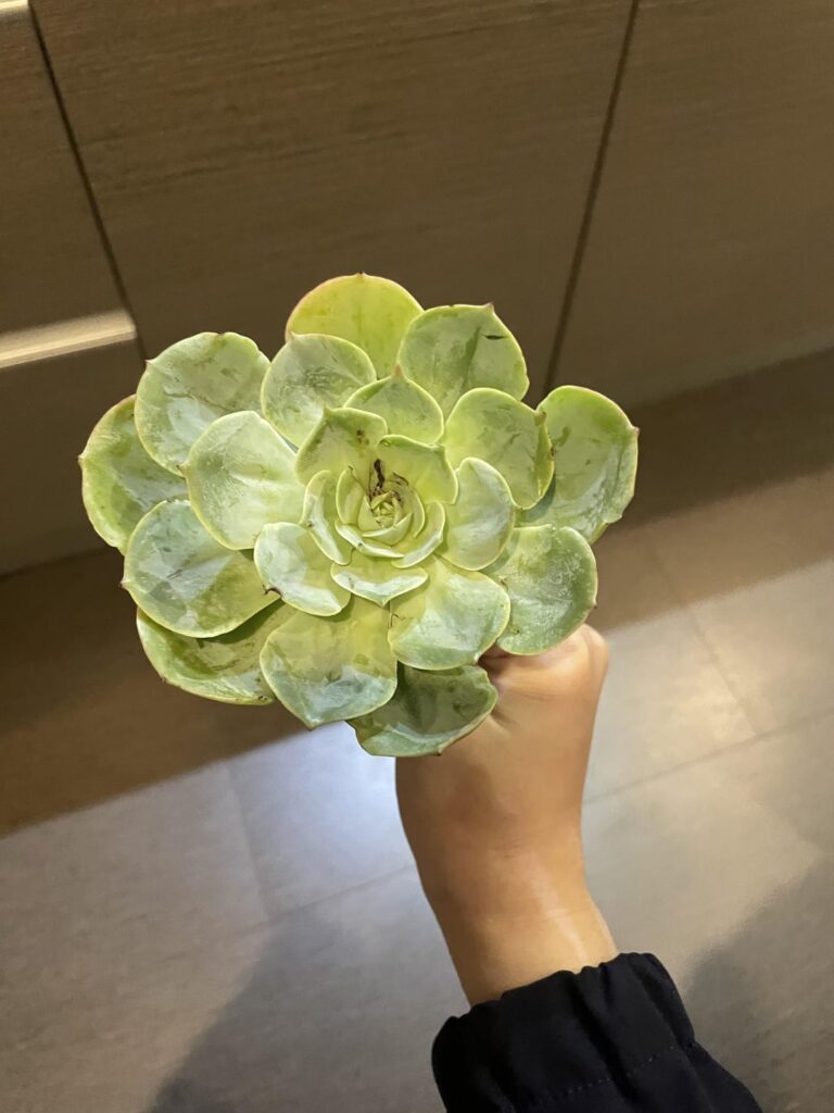 Tips please!