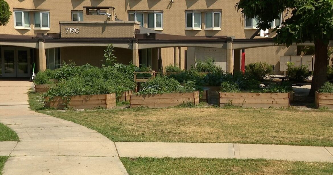 Denver income-based community now benefits from newly-installed communal garden Denver income-based community now benefits from newly-installed communal garden
