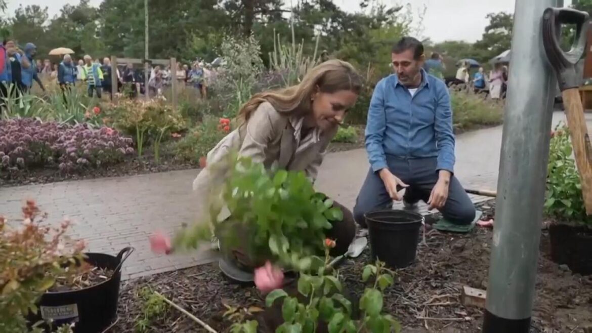 Princess of Wales plants rose during visit to wellbeing garden Princess of Wales plants rose during visit to wellbeing garden