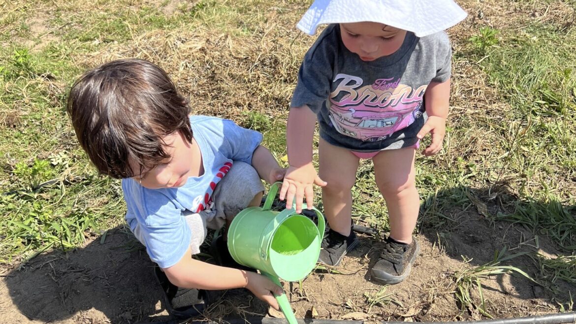 How to inspire kids to start gardening How to inspire kids to start gardening