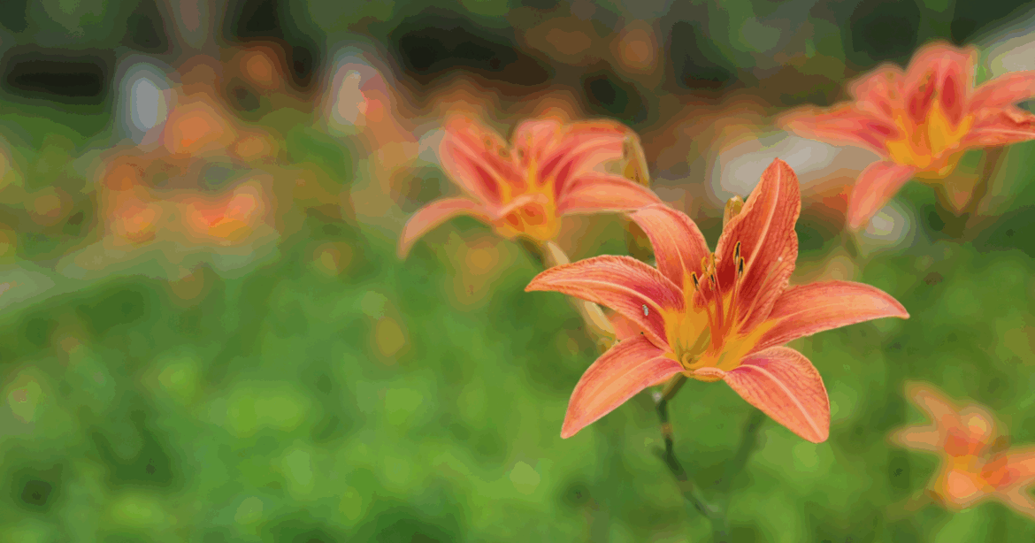 Third annual Garden Walk begins this weekend