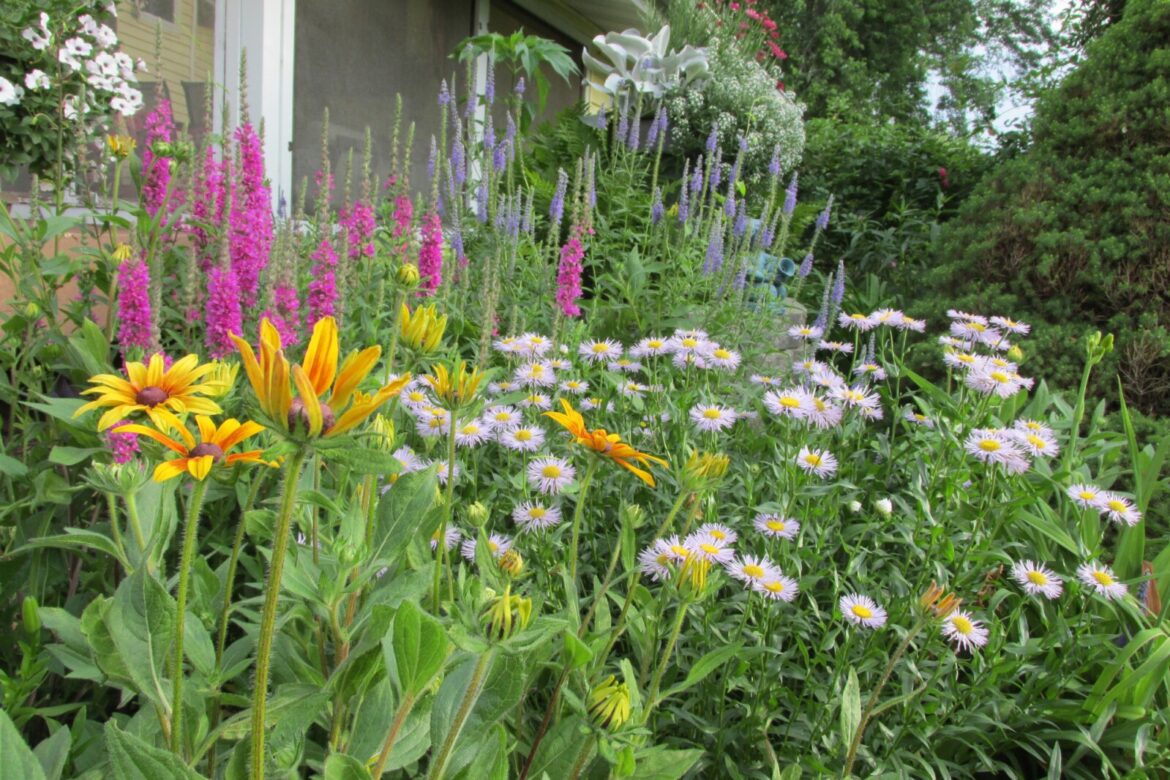 The garden tours are upon us! - Jamestown Sun
