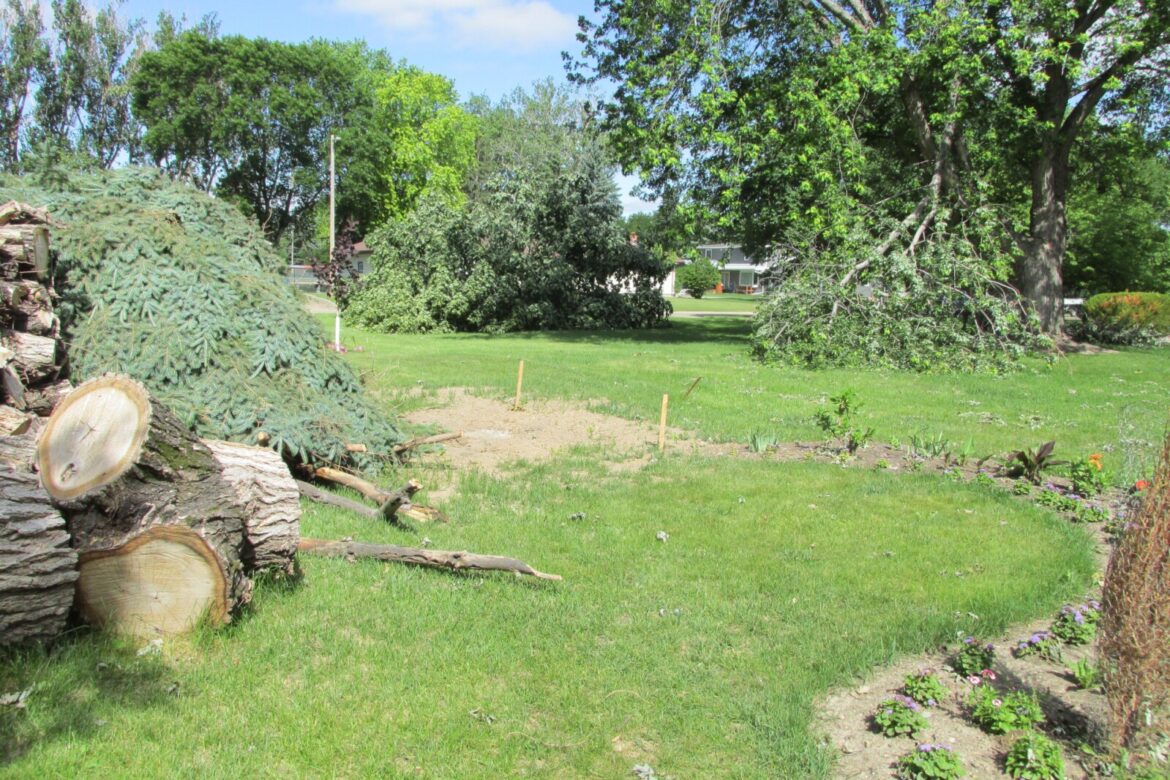 Gardens are ever-changing – Jamestown Sun Gardens are ever-changing - Jamestown Sun