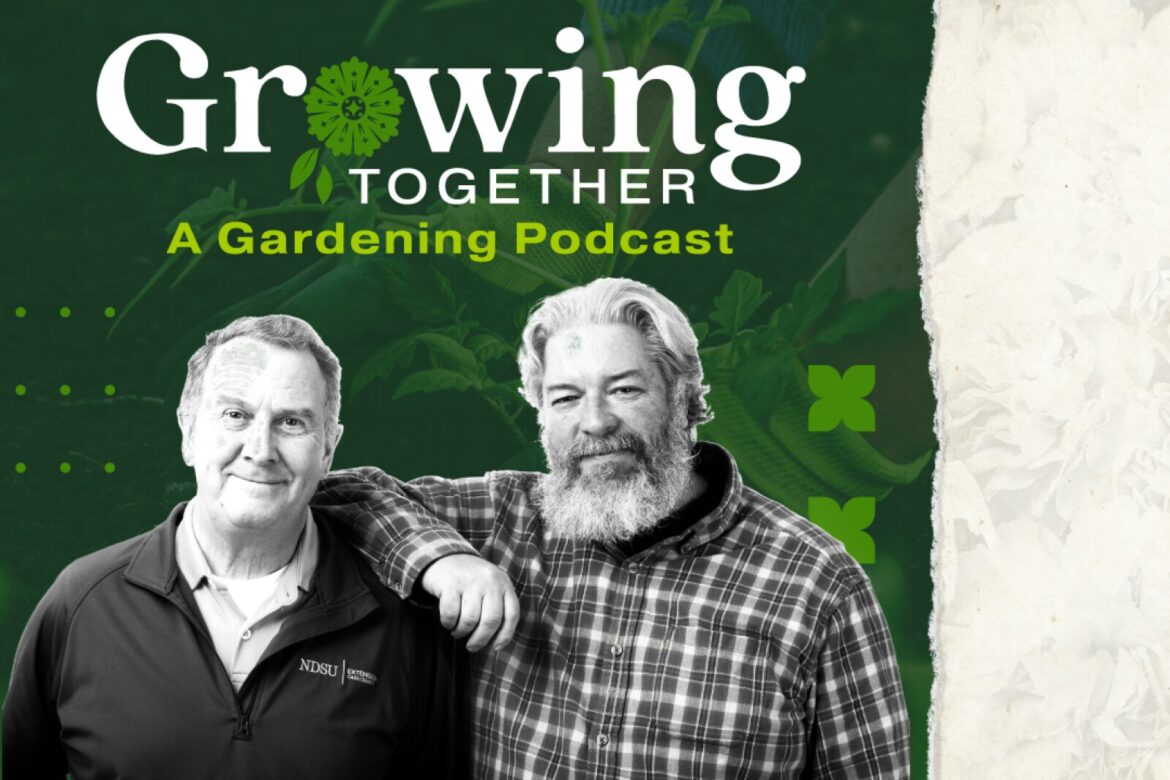 How vines and climbing plants add dimension to your garden – InForum How vines and climbing plants add dimension to your garden - InForum