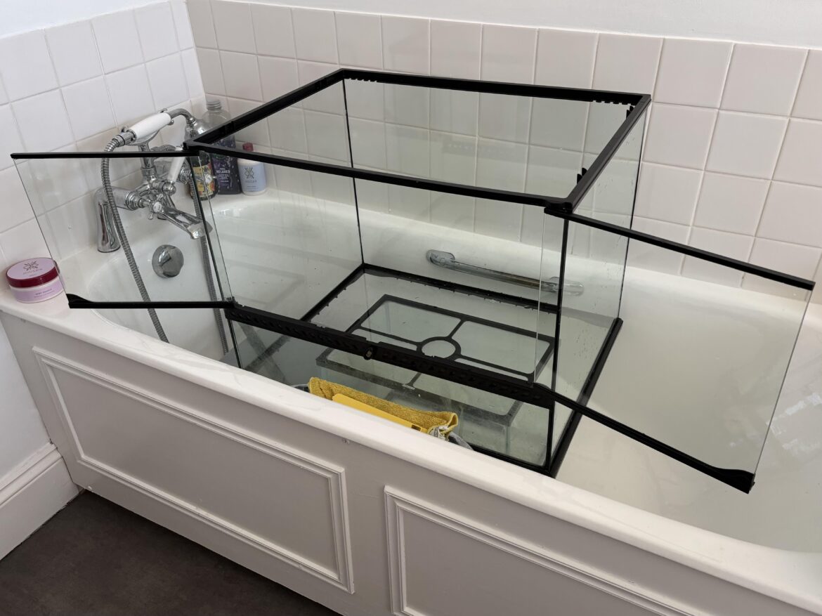 Just got this bad boy for £18