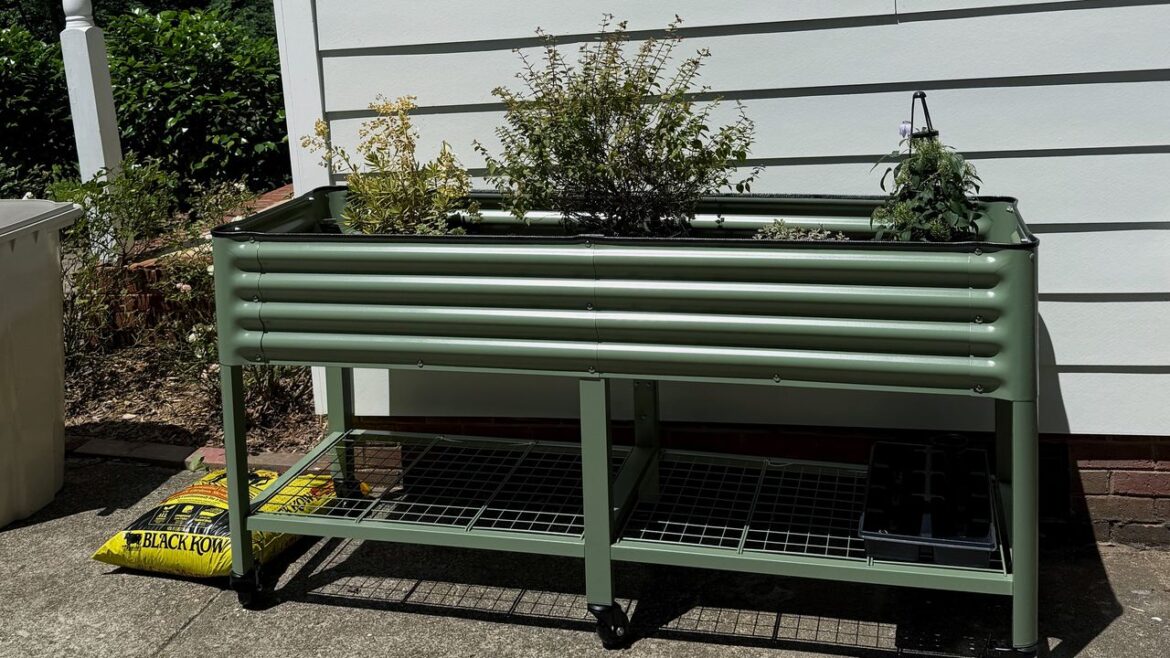 Vego Garden Bed Review – Elevated Gardening in 2025 Vego Garden Bed Review - Elevated Gardening in 2025