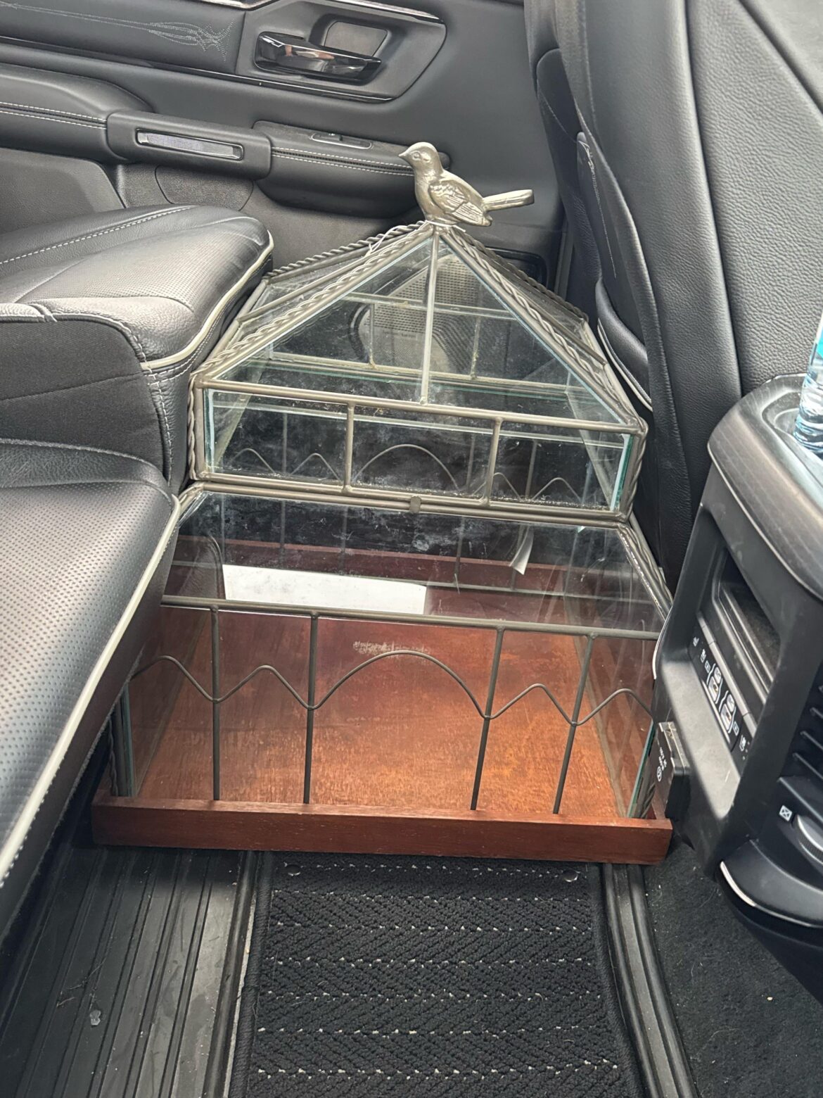 Help, what do I do with this big terrarium