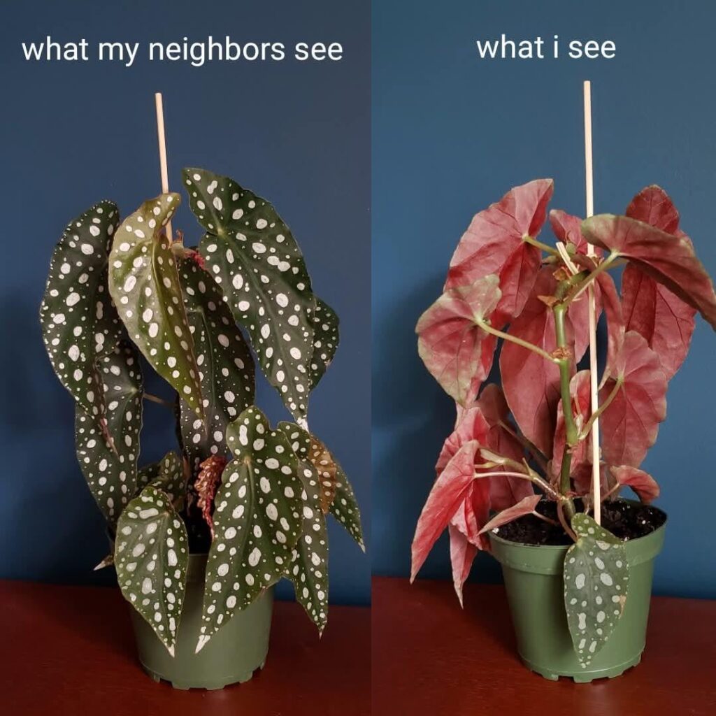 Yup. I can confirm this!