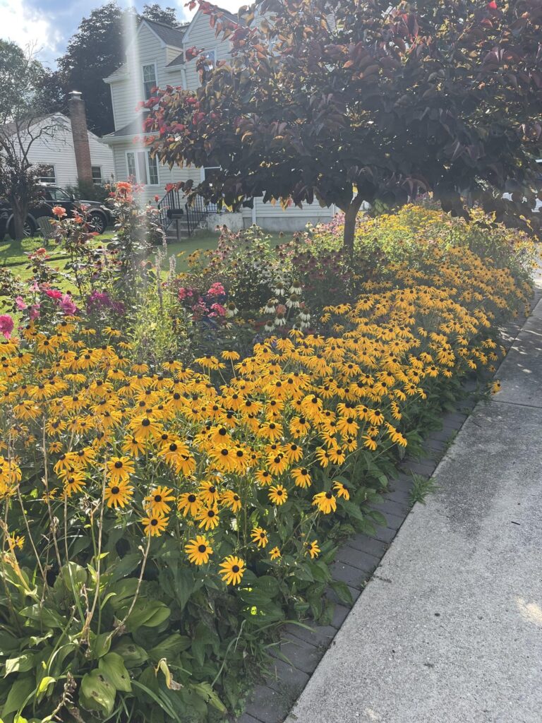 Mom’s journey to NoLawn