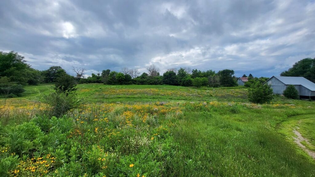 How I quit mowing and got paid to do it