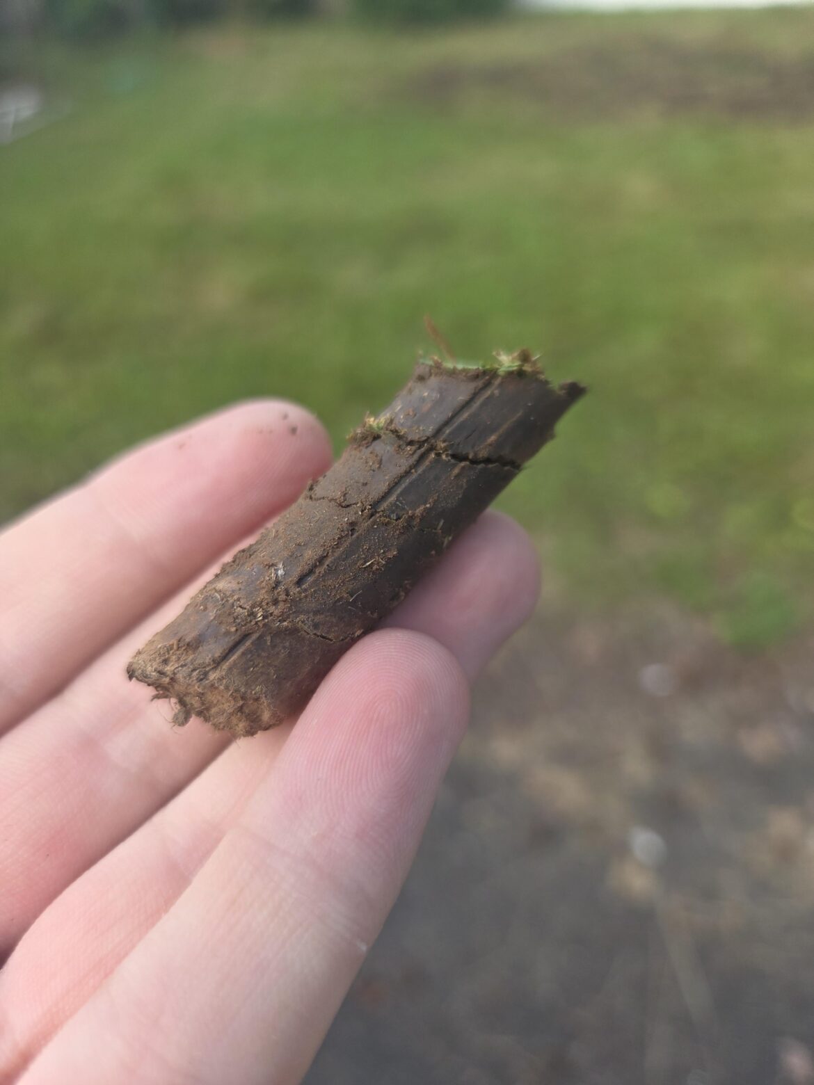 Hand-aerating a lawn for the first time, how bad is this?