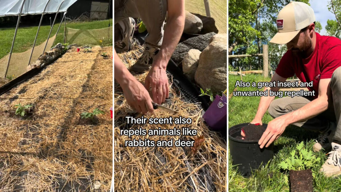 "They should start taking off soon."