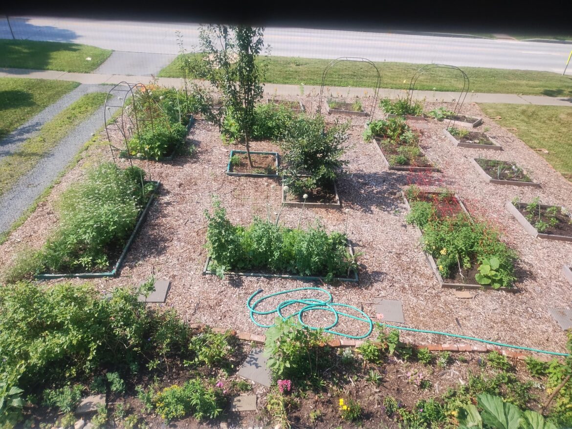 Front garden instead of lawn Front garden instead of lawn