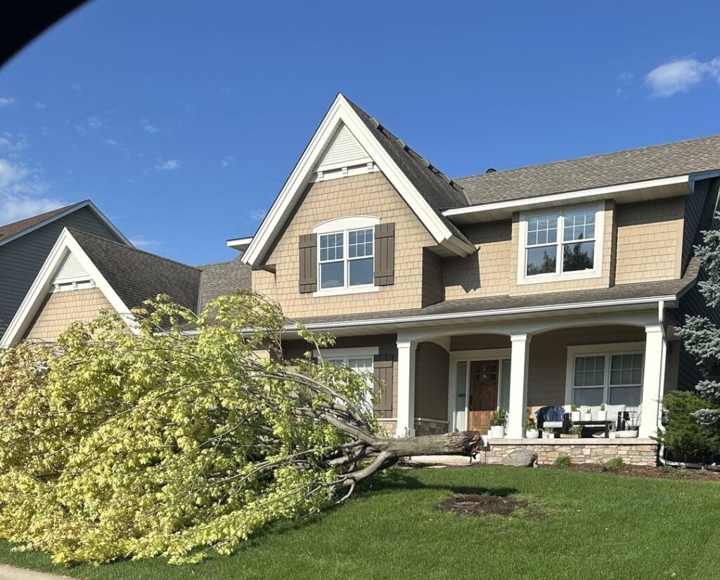 Neighbors maple fell over in storm, anything I can do to prevent mine from doing the same? Neighbors maple fell over in storm, anything I can do to prevent mine from doing the same?