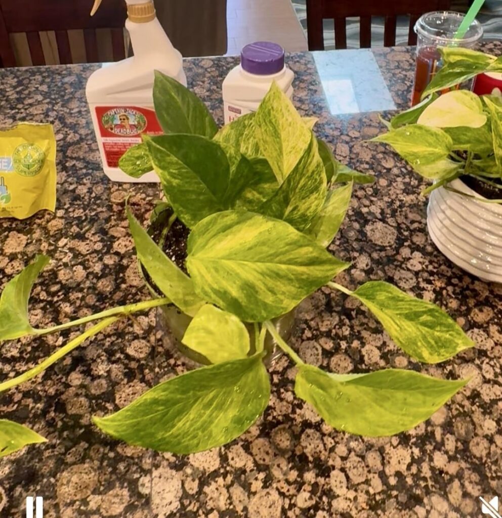 My family grew today!
