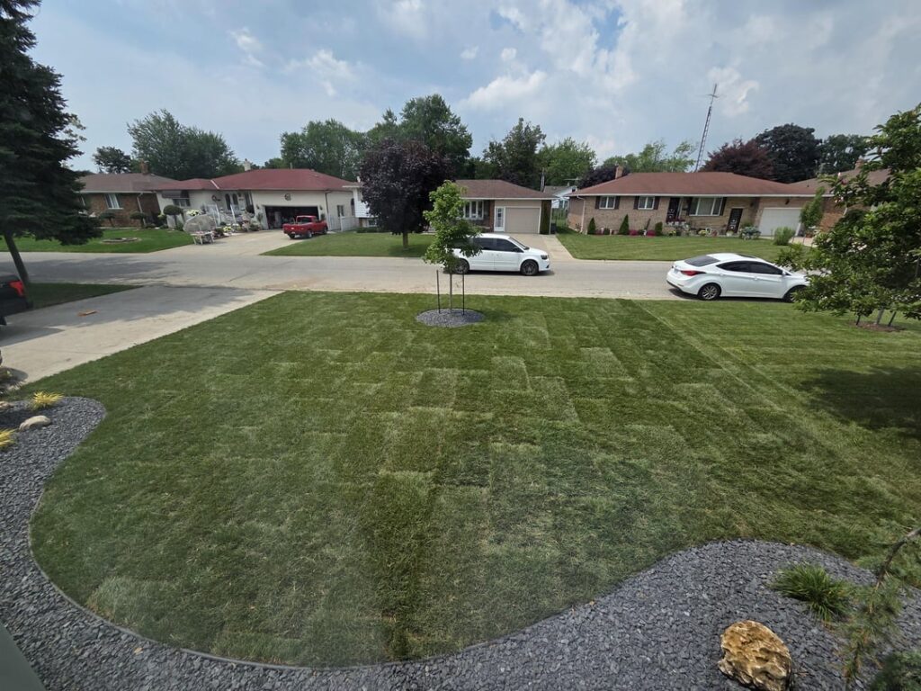 New Sod installed yesterday. How to make sure it survives/ thrives ?