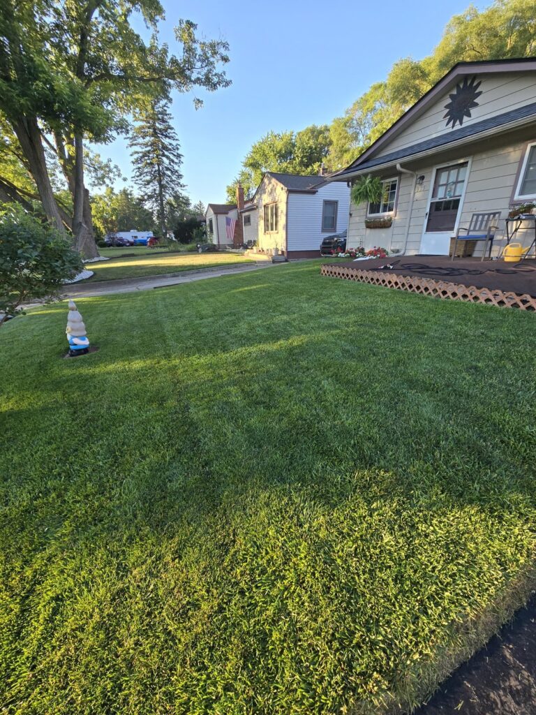 Thanks to this community, I have the nicest lawn in my neighborhood! Southeast Michigan, zone 6a.