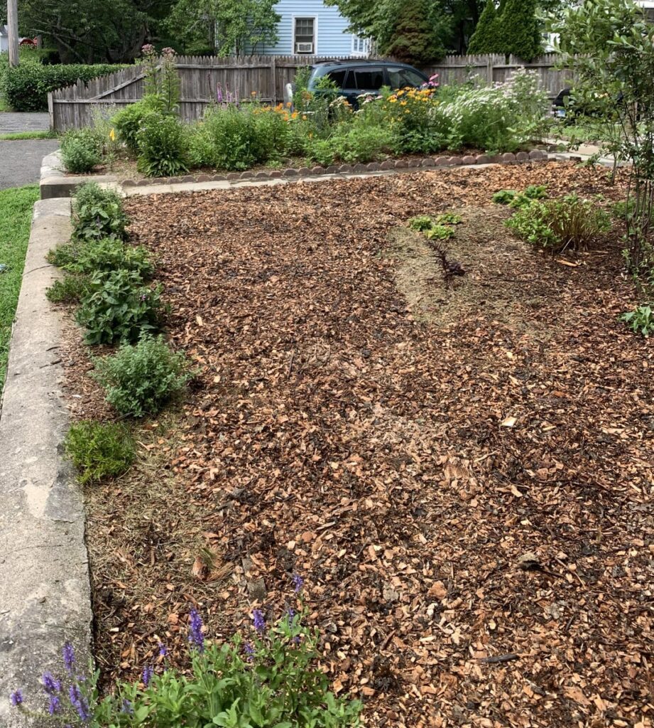 Goodbye tacky lawn!