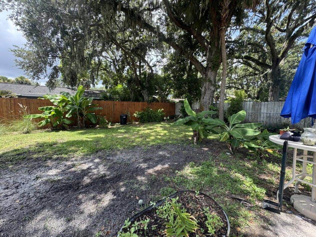 What suggestions do you have for a high traffic no lawn area (East Central FL Zone 9) What suggestions do you have for a high traffic no lawn area (East Central FL Zone 9)