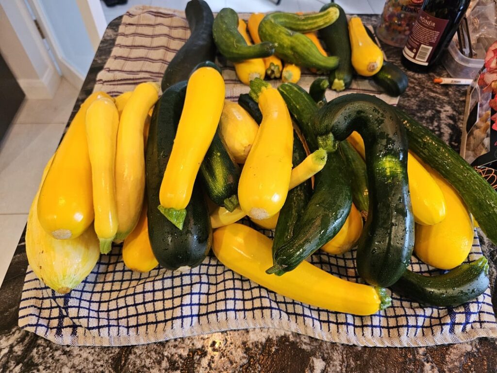 Harvest 4