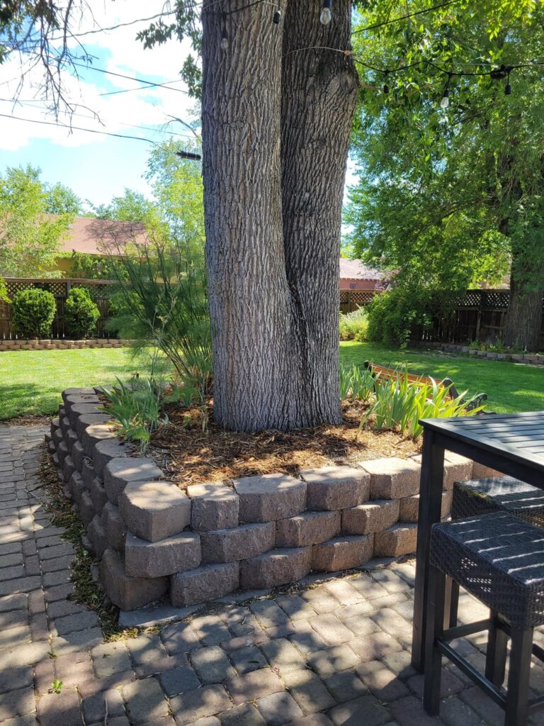 How concerned should I be about this tree? How concerned should I be about this tree?