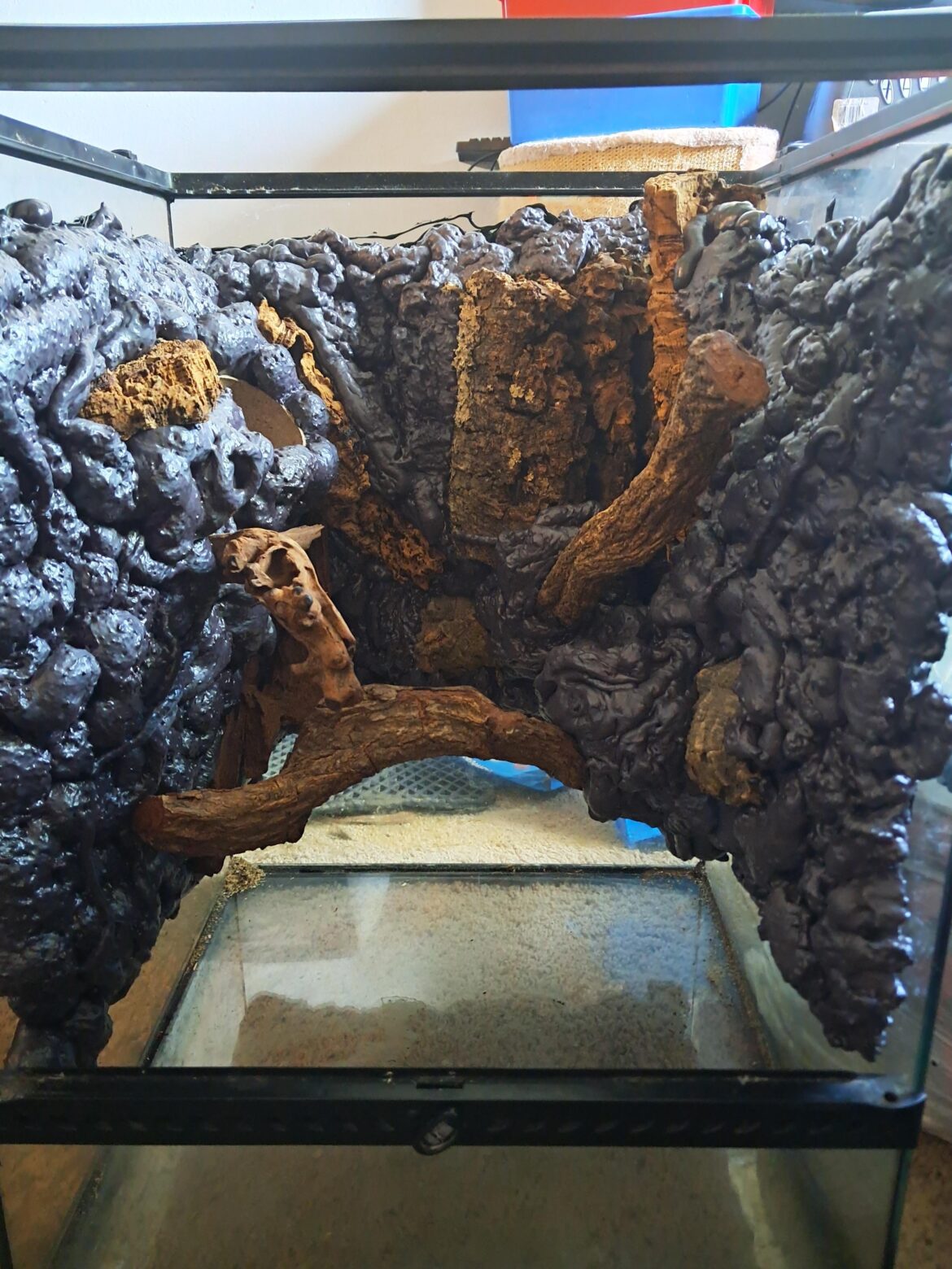 Need advice for peacock day gecko build