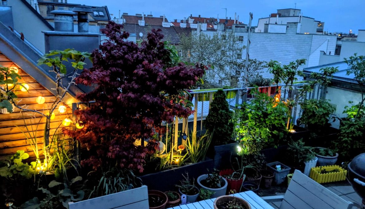 Just 5 weeks ago this was mostly bare branches