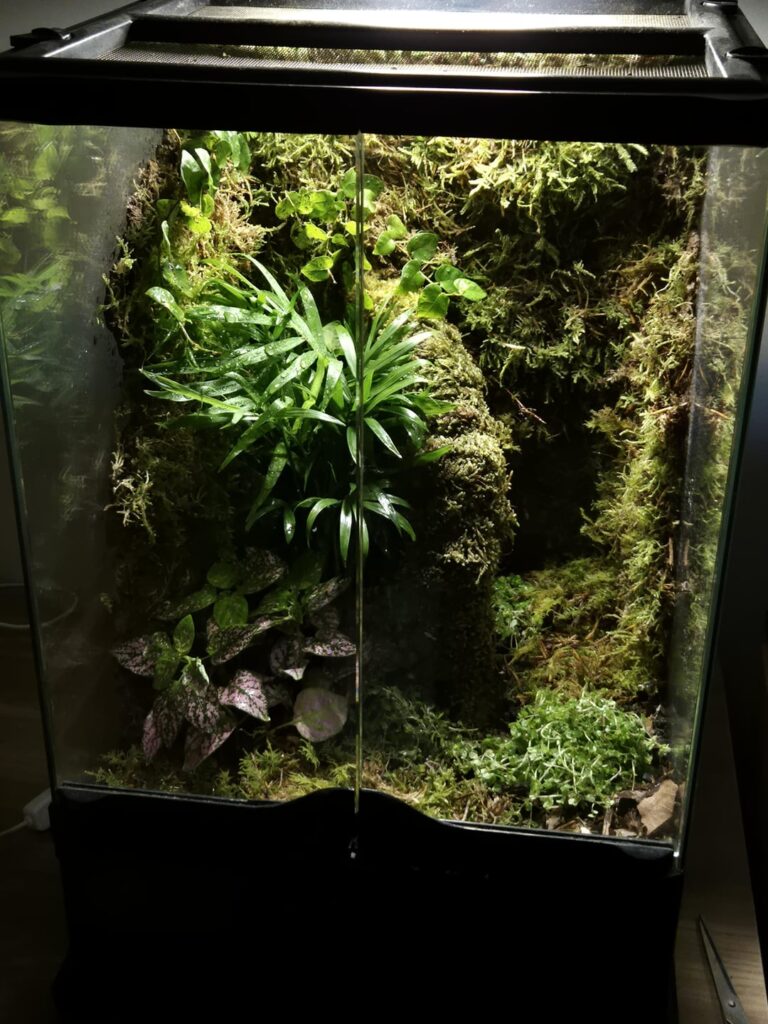 My 12×12×18! My 12×12×18!