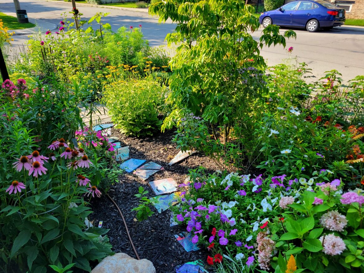 Goodbye lawn (and weeds), hello pollinators
