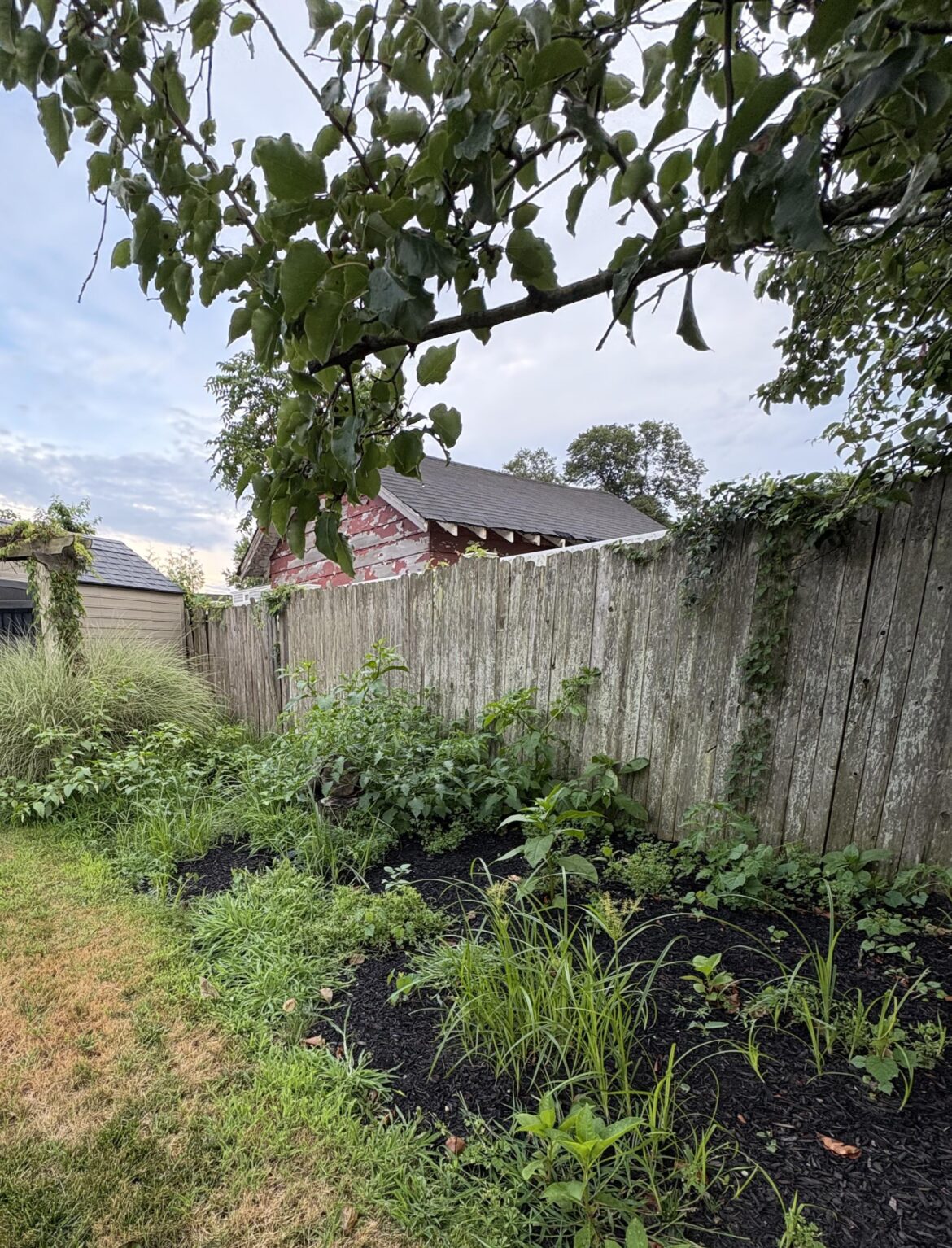 Any advice on weeding the flower bed ?