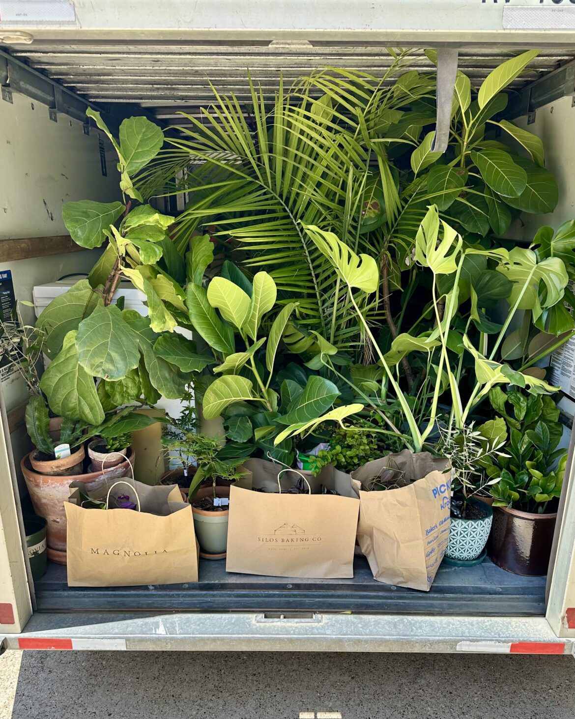 Pray for all the plant babies! 🙏🏼 Pray for all the plant babies! 🙏🏼