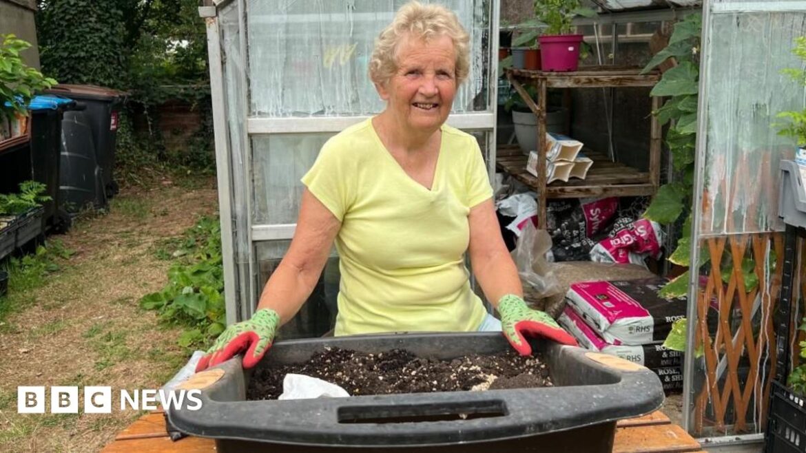 Boroughbridge grandmother grows 4,000 trees in her back garden Janet Willoner stands in her garden, in front of a greenhouse. She wears a yellow t-shirt and green gardening gloves, holding a large black bucket filled with soil.