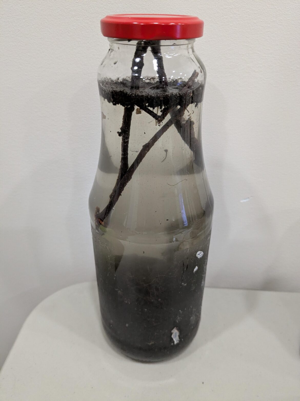 New jar for freshwater isopod