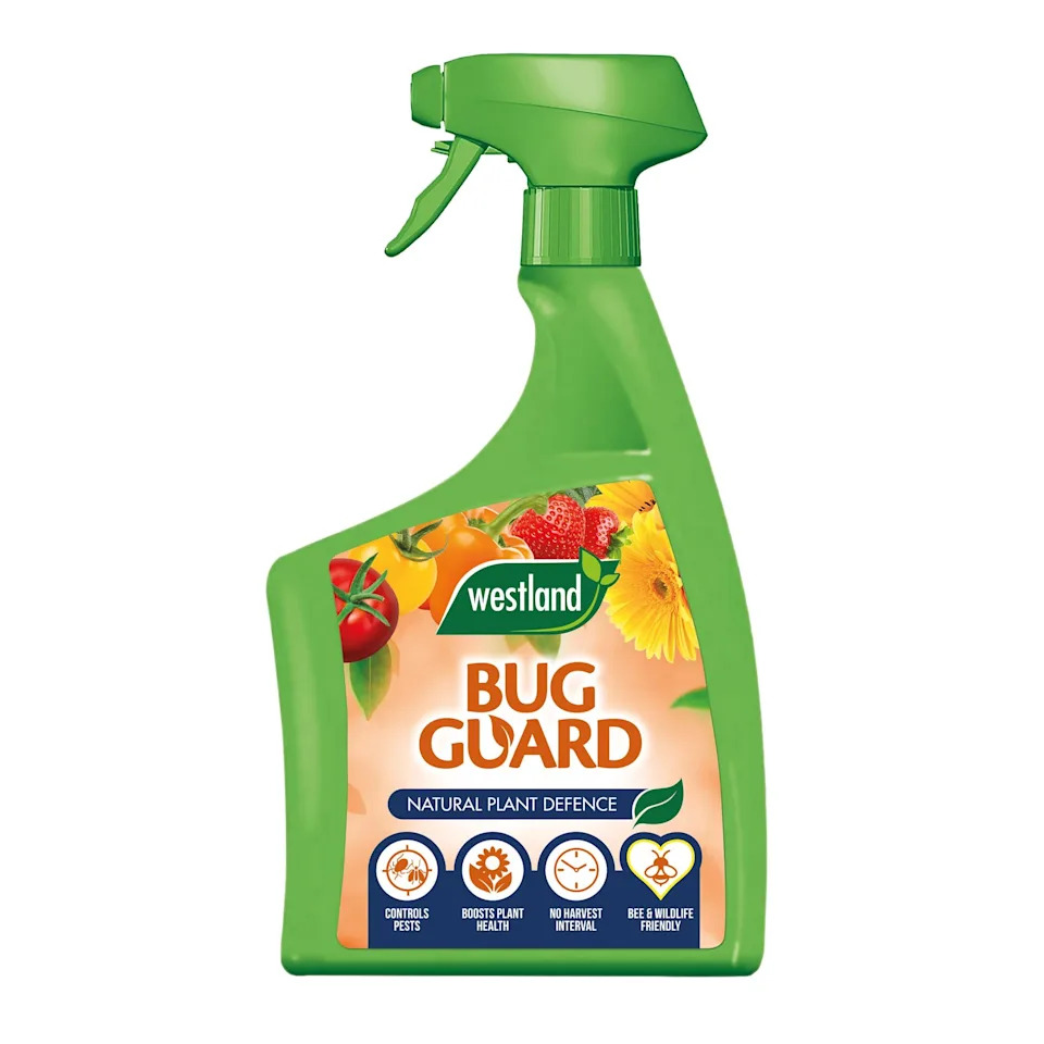 amazon.co.uk