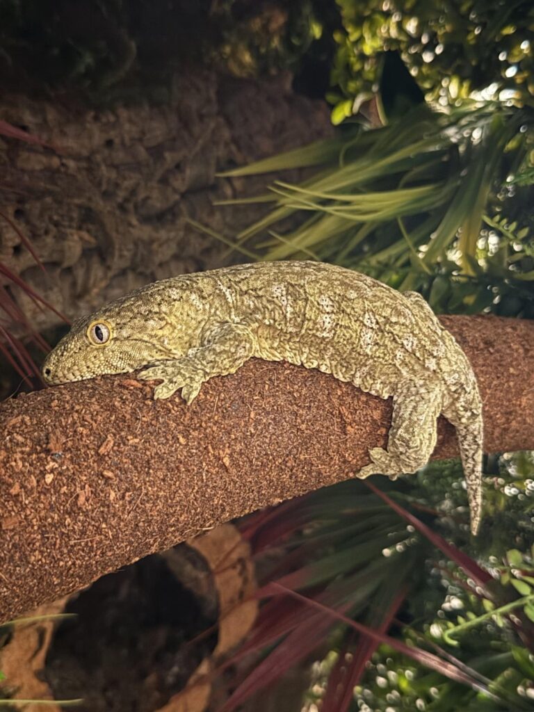 OK OK I ADDED MORE HORIZONTAL ELEMENTS 😂