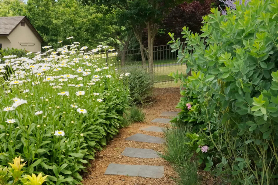 Proud gardener shares stunning photo of adorable visitor attracted by their plants: ‘What a handsome fellow’ Yahoo lifestyle home