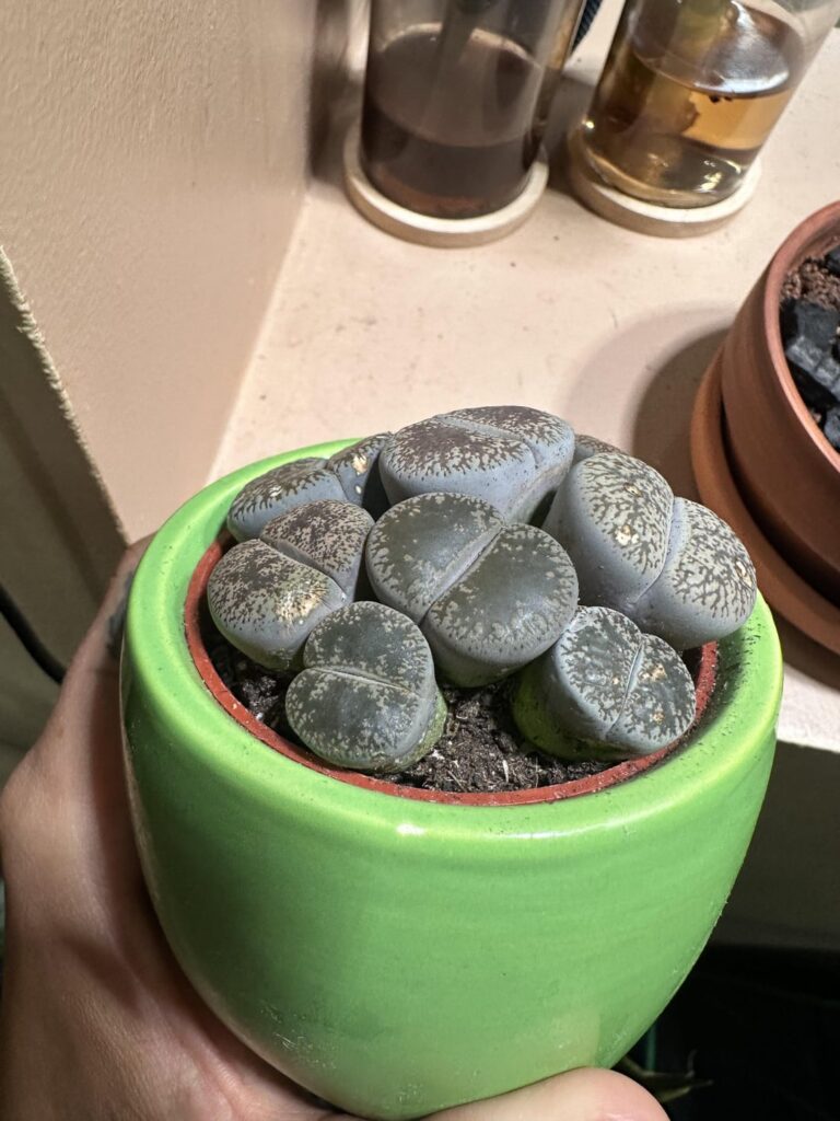 Are we able to determine age?