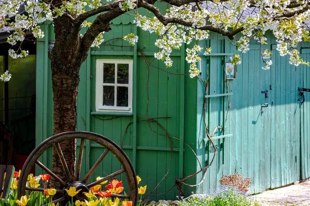 Cozy cottage in a country garden, Germany