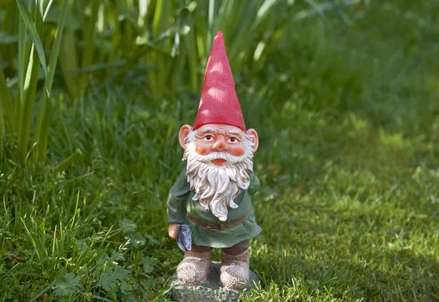 one garden gnome standing in back garden