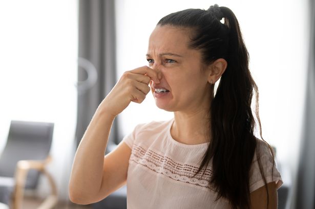 Air Conditioner Bad Odor At Home Or House