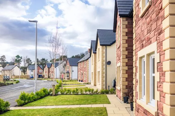 A modern housing estate in the UK.