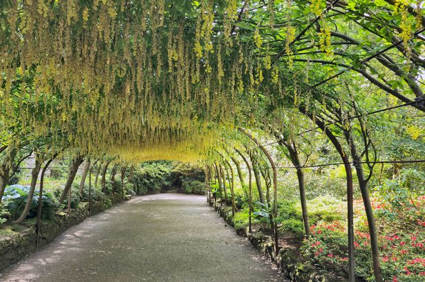 Bodnant Gardens near Colwyn Bay, Conwy