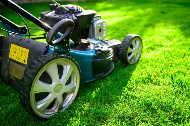 A lawnmower cutting grass