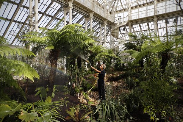 A horticulturist waters plants the "Temperate House" at Kew Gardens