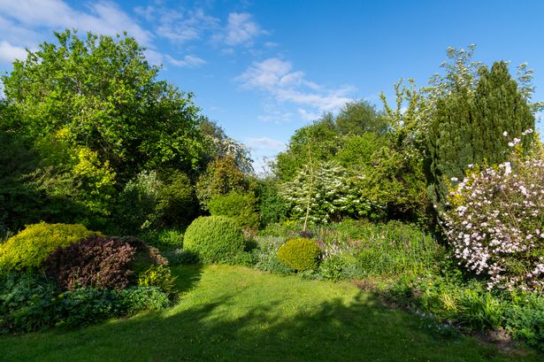 Mixed planting of trees, shrubs and perennials on a sunny spring morning.