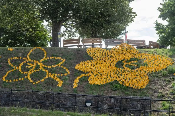 Flowers creating a pattern