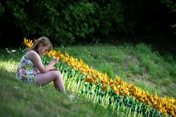 Little girl sat holding yellow flower with yellow flowers planted on hill beyond