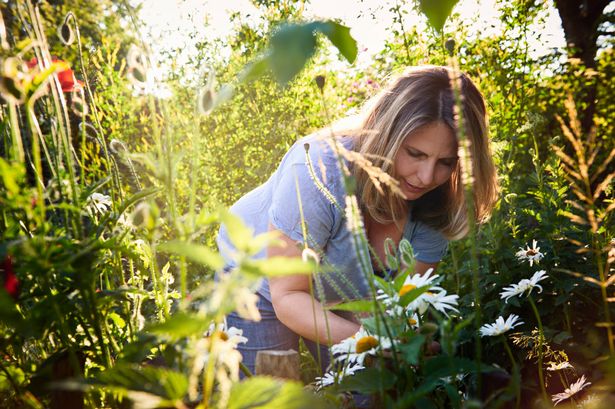 A woman doing gardening