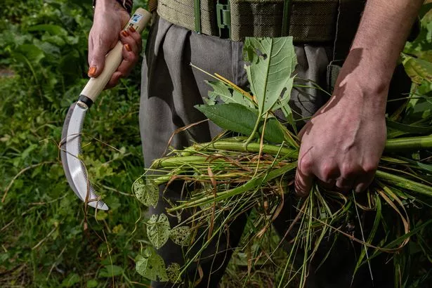 Sam holding his gardening tool